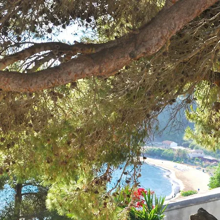 Luxury Loft With Pool - Beach, Corfu Apartment *